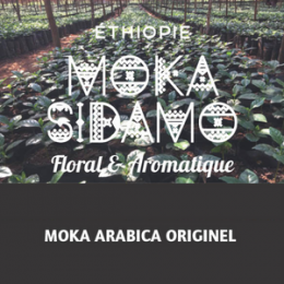 Café Ethiopie Moka Sidamo Région Sidamo